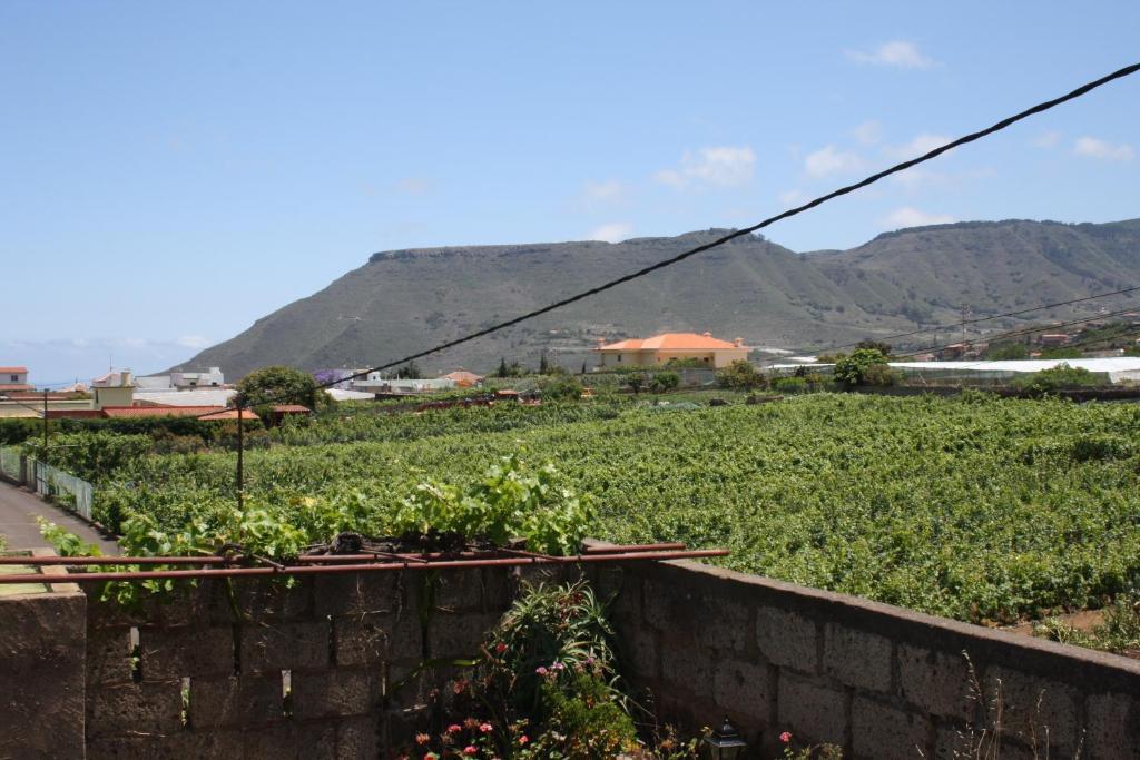 Finca El Vergel Rural Tegueste Kamer foto