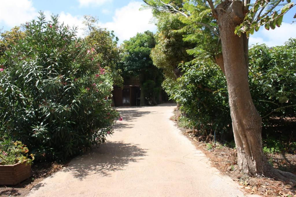 Finca El Vergel Rural Tegueste Buitenkant foto