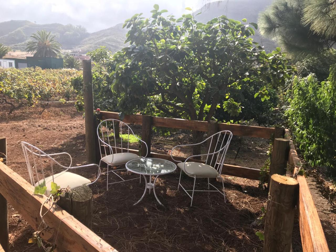 Finca El Vergel Rural Tegueste Buitenkant foto