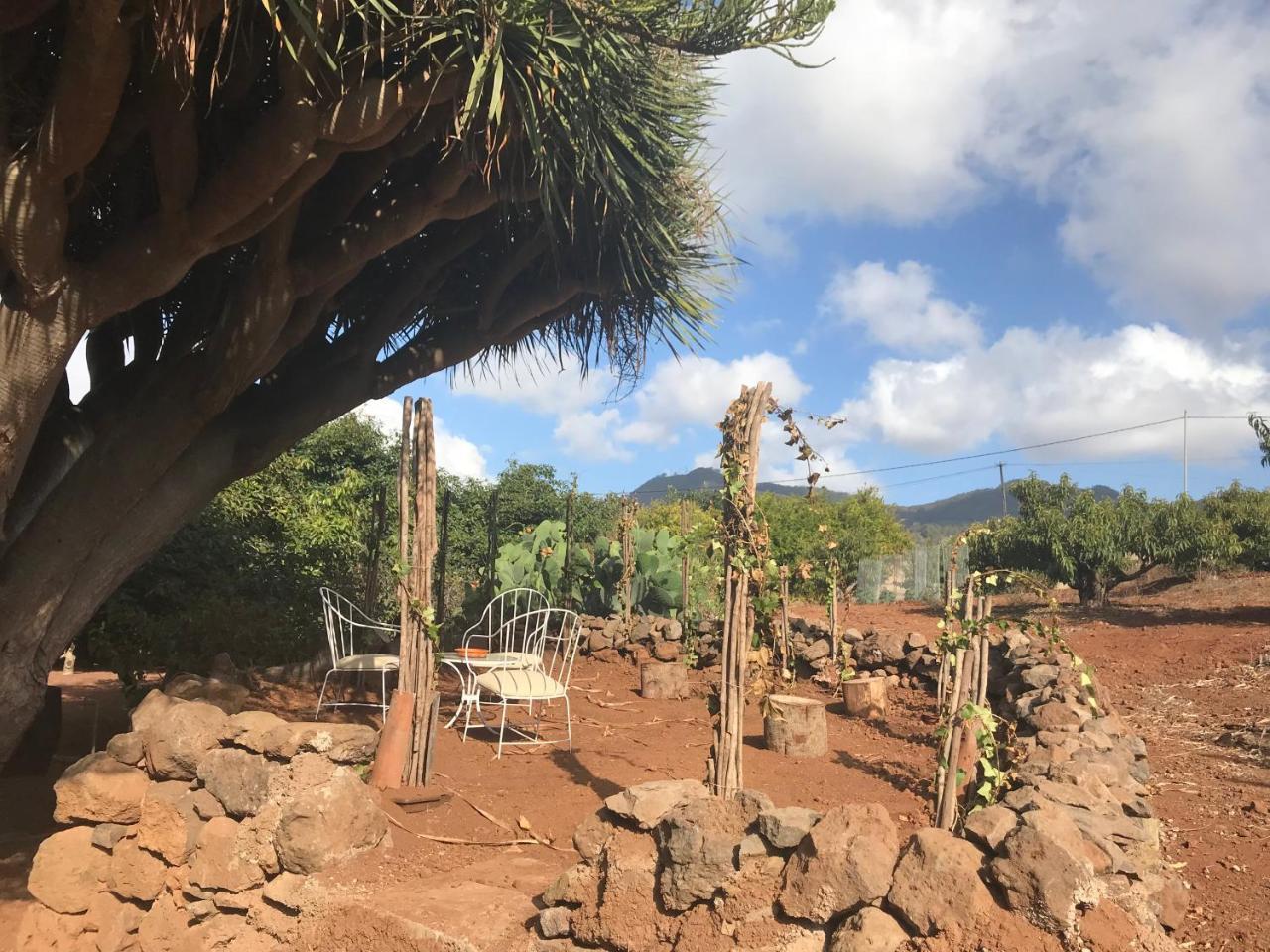 Finca El Vergel Rural Tegueste Buitenkant foto