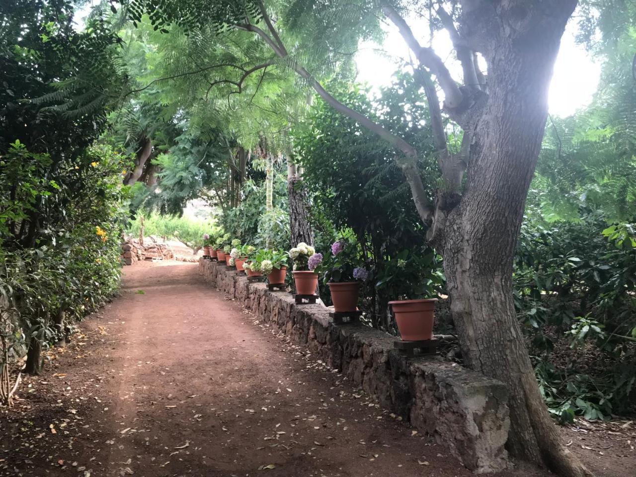 Finca El Vergel Rural Tegueste Buitenkant foto