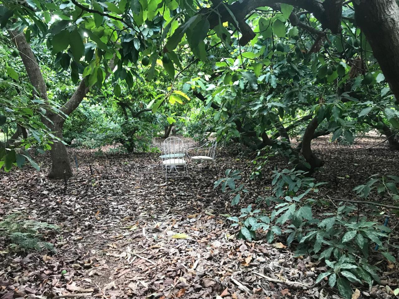 Finca El Vergel Rural Tegueste Buitenkant foto